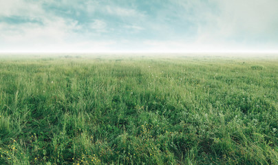 Obraz na płótnie Canvas Landscape of green meadow