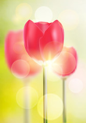 Vector mesh spring tulip on the green bokeh background.