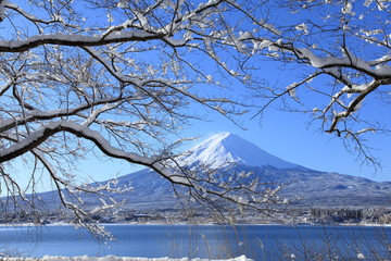 Obraz premium 冬の河口湖と富士山