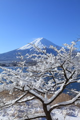 富士山と雪景色