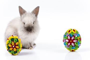 Easter bunny and Easter eggs on white background