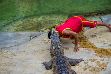 A man show put head into mouth of crocodile.