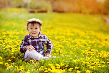 Portrait of a little boy in a dandelion field © Tomsickova