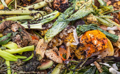 Pile of organic waste background