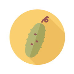 Cucumber flat icon with long shadow