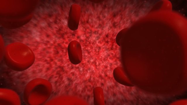 Rote Blutk&ouml;rperchen Medizin Blut Animation 3D
