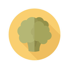 Cauliflower flat icon with long shadow