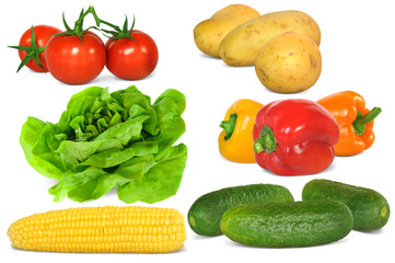 Gemüse 310