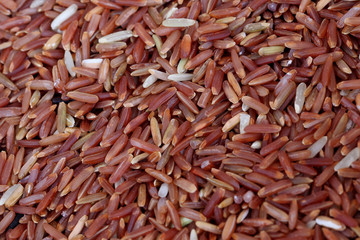 coarse rice or half polished rice background, uncooked raw cerea