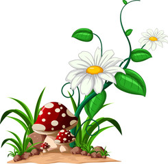 mushrooms in the garden © jihane37