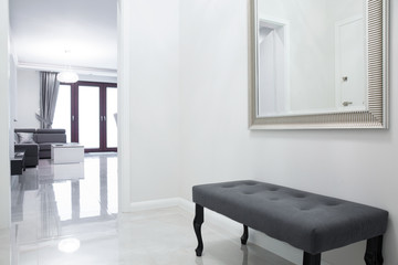Obraz na płótnie Canvas Anteroom in luxury apartment