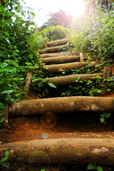 Natural staircase