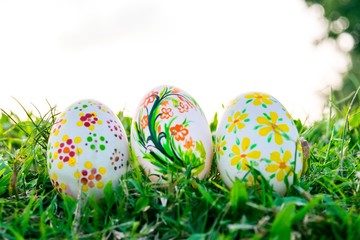 Row of Easter Eggs with Daisy on Fresh Green Grass