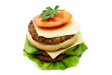 burger isolated