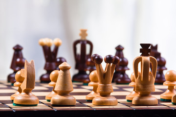 chess pieces on the board