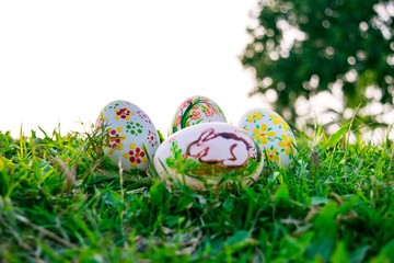 Row of Easter Eggs with Daisy on Fresh Green Grass
