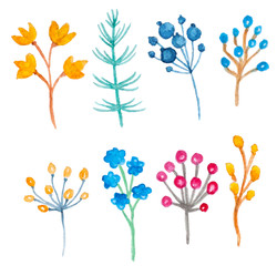 Watercolor floral elements