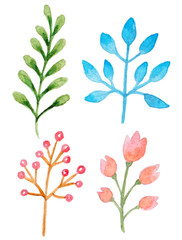 Watercolor floral elements