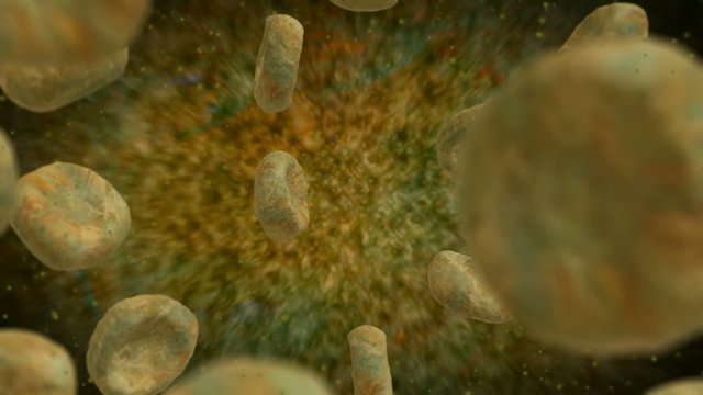 Kranke Blutk&ouml;rperchen Blut Krank Krankheit Virus