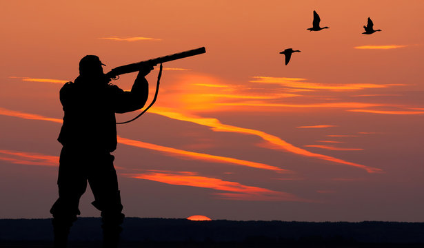 the silhouette of a hunter on sunset background