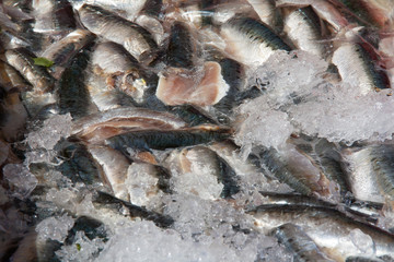 Morceaux de maquereaux recouverts de glace