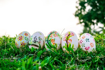 Row of Easter Eggs with Daisy on Fresh Green Grass
