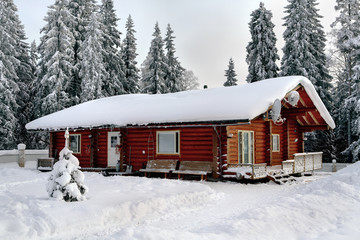 Russian hut stained logs, on the background of snow-covered fore