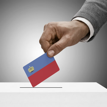 Black male holding flag. Voting concept - Liechtenstein