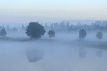 Misty morning by the river