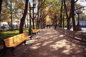Autumn in the city landscape