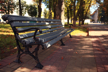 garden bench in autumn park landscape