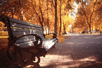 garden bench in autumn park landscape