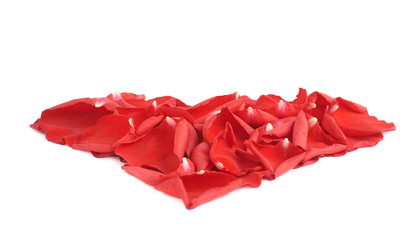 Heart shape rose petals composition