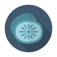 Kiwi flat icon with long shadow