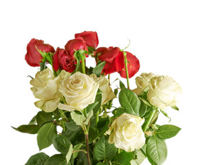 Bouquet of roses isolated