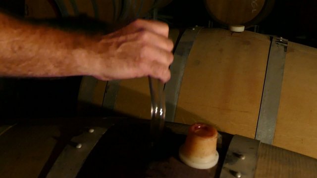 Wine Test