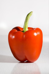 rote Paprika vor grau