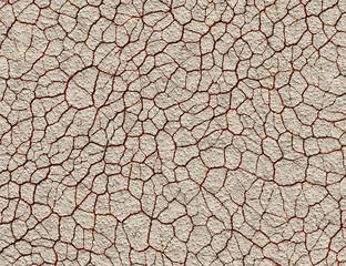 dry cracked wilderness ground texture