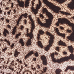 texture of print fabric striped leopard
