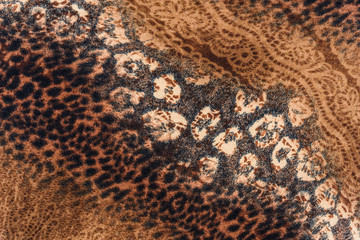 texture of print fabric stripes leopard