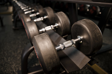 Dumbbells weights in gym