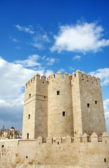 Fototapeta na wymiar Calahorra Tower in Cordoba, Andalusia, Spain