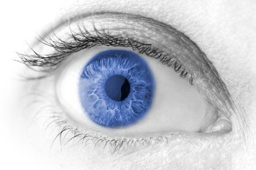 beautiful Blue woman eye macro shot