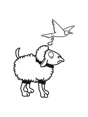 SHEEP bird shit