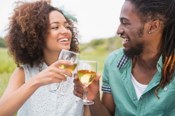 Young couple on a picnic drinking wine