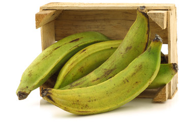 unripe baking bananas (plantain bananas) in a wooden crate © tpzijl