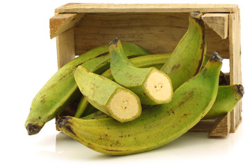 unripe baking bananas (plantain bananas) in a wooden crate © tpzijl