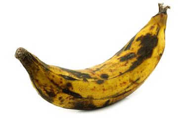  plantain (baking) banana on a white background