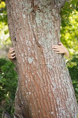 Woman hugging a tree