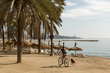 Fototapeta premium Playa Caleta en Málaga.